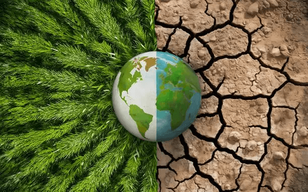 Green tropical leaves background